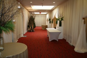 2015 Cuthill Wedding at Marriott Residence Inn i